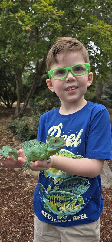 Smiling boy holding a green basilisk