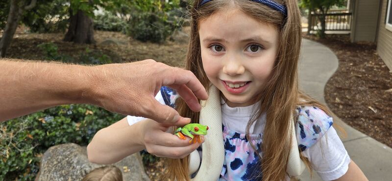 Girl holding a red-eyed tree frog with a white snake around her neck
