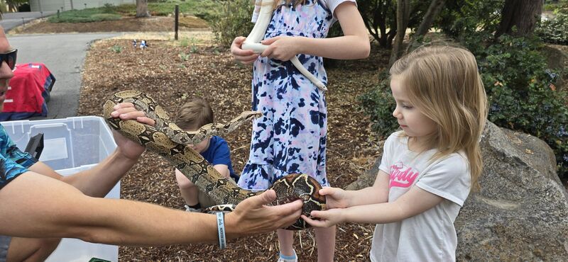 James handing a boa constrictor to a young girl