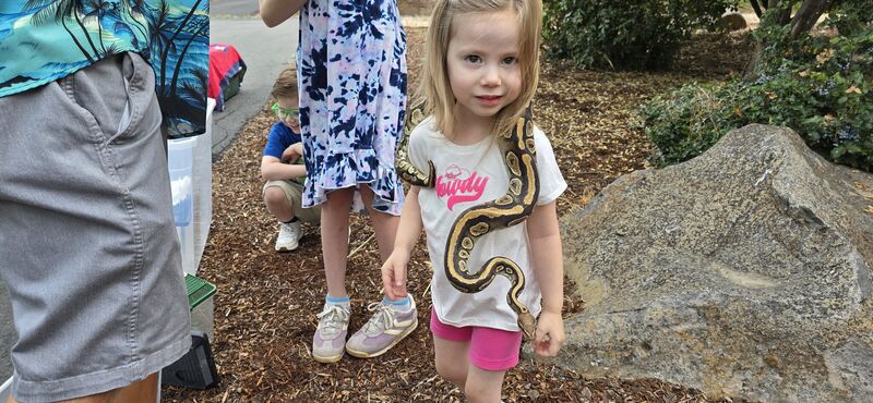 Young girl with a ball python on her shoulders