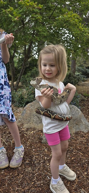 Smiling young girl holding a boa constrictor