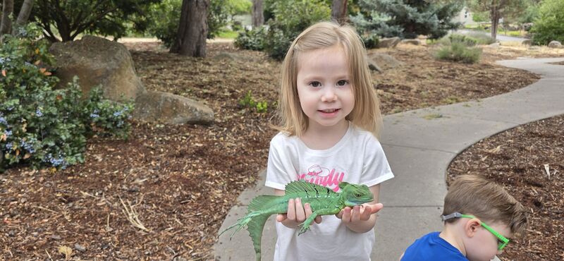 Young girl holding a green basilisk