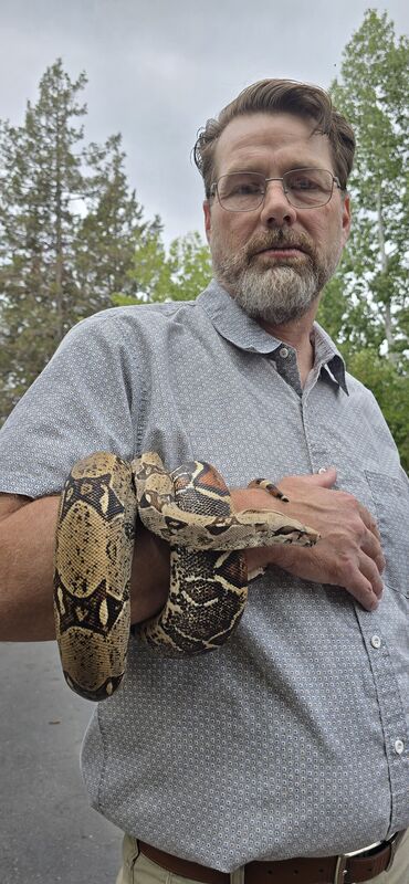 A boa constrictor wrapped around an adult's arm